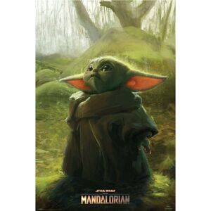 Plakát Star Wars: The Mandalorian - The Child Art (149)