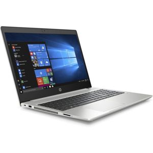 HP ProBook 455 G7 (12X18EA) stříbrný