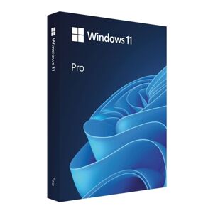 Windows 11 Pro 64-bit CZ USB licence