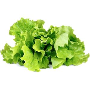 Click and Grow zelený salát kapsle se semínky a substrátem 3ks