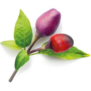 Click and Grow fialové chilli kapsle se semínky a substrátem 3ks
