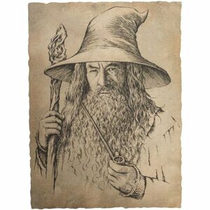 Art print Lord of the Rings - Portrait of Gandalf the Grey