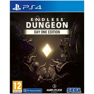 Endless Dungeon (PS4)