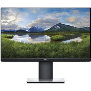 Dell Professional P2219H monitor 22"
