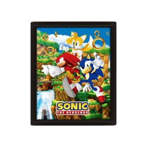 3D obraz Sonic - Catching Rings