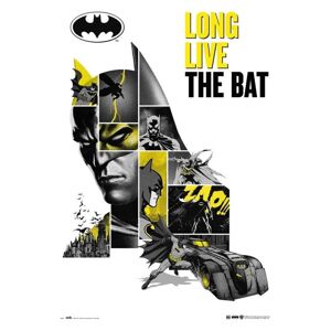 Plakát Batman - 80th Anniversary (140)