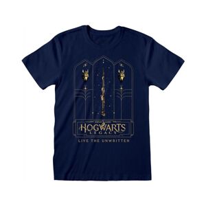Tričko Harry Potter - Hogwarts Legacy: Golden XXL