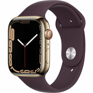 Apple Watch Series 7 Cellular 45mm ocel